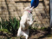 bth_ActionKarlee2_zps9c39de2b.jpg