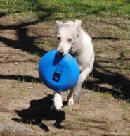 bth_ActionKarlee3_zps68cdeb8a.jpg