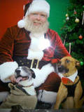 th_2012-01-139515_38_15.jpg