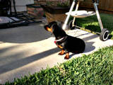 th_2012-05-252018_00_39.jpg