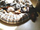 th_2012-06-092011_40_57.jpg