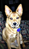 th_max2_zps82b11266.jpg